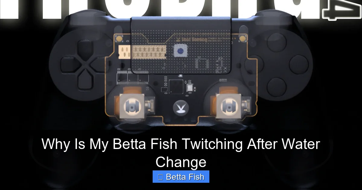Why Is My Betta Fish Twitching After Water Change