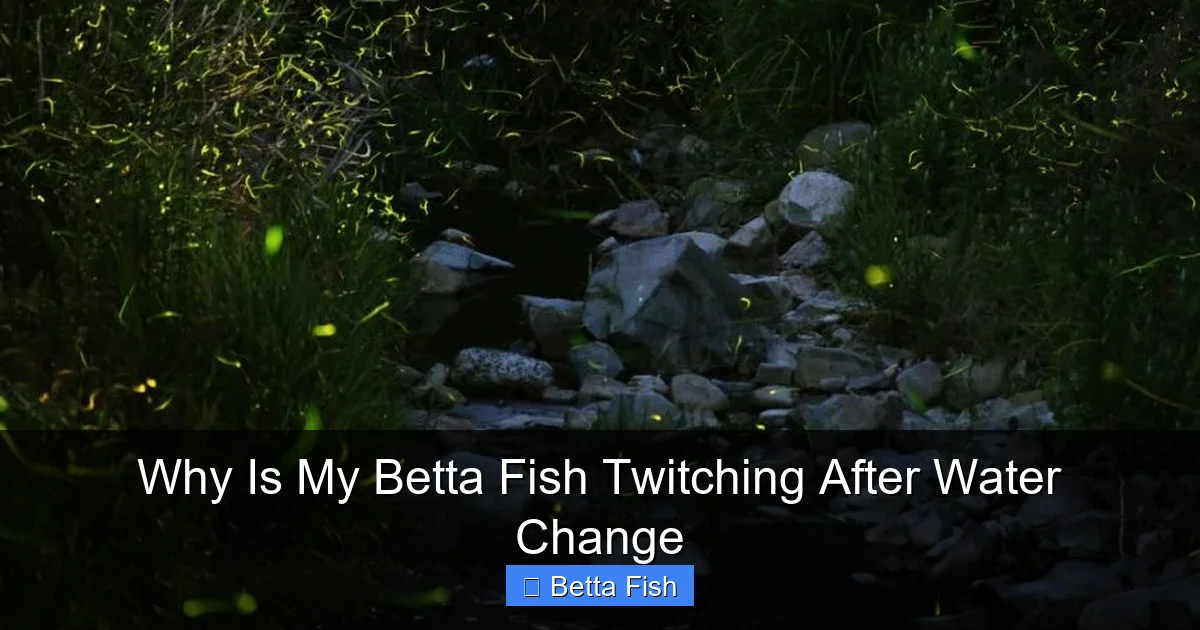 Why Is My Betta Fish Twitching After Water Change