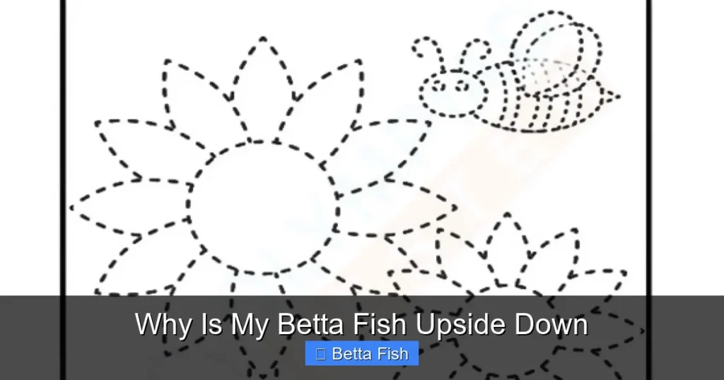 Why Is My Betta Fish Upside Down