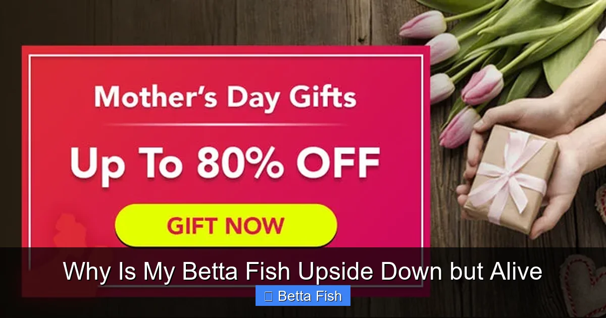 Why Is My Betta Fish Upside Down but Alive