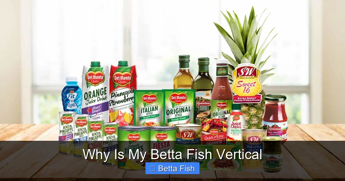 Why Is My Betta Fish Vertical