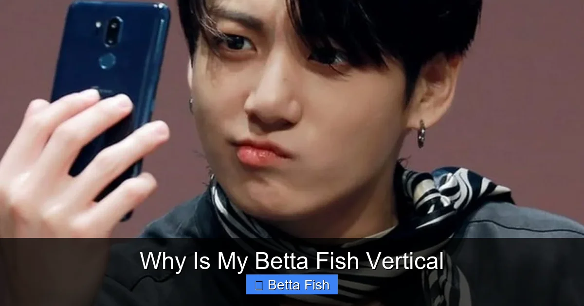 Why Is My Betta Fish Vertical
