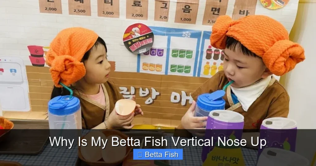 Why Is My Betta Fish Vertical Nose Up