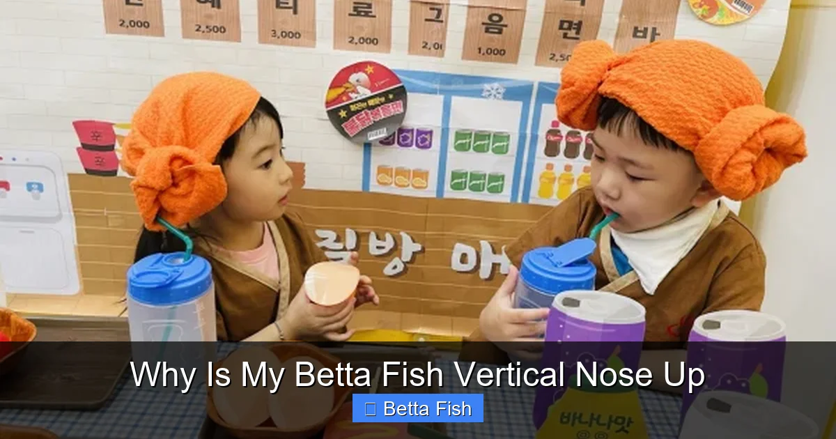 Why Is My Betta Fish Vertical Nose Up