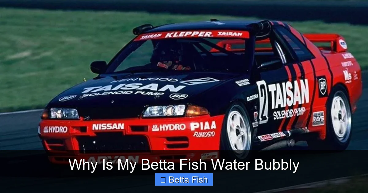 Why Is My Betta Fish Water Bubbly