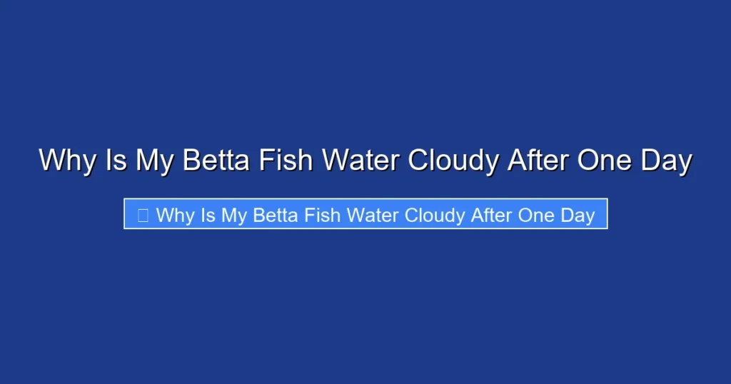 Why Is My Betta Fish Water Cloudy After One Day