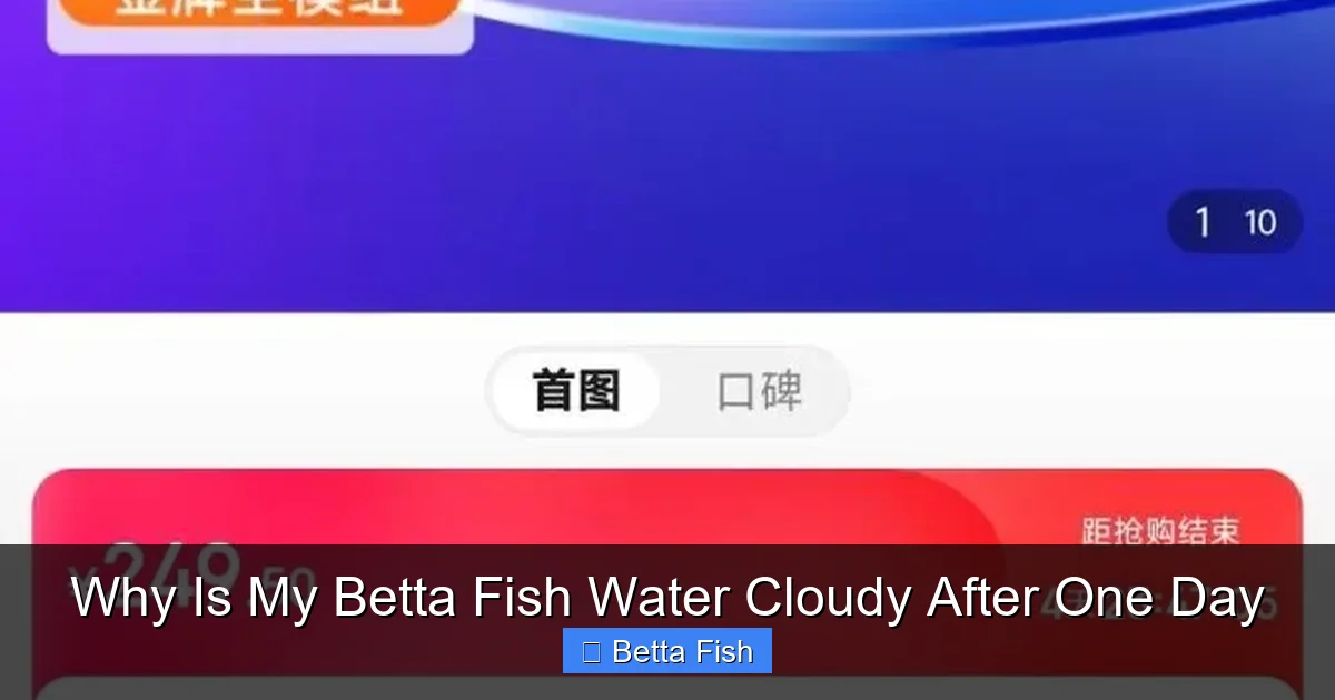 Why Is My Betta Fish Water Cloudy After One Day