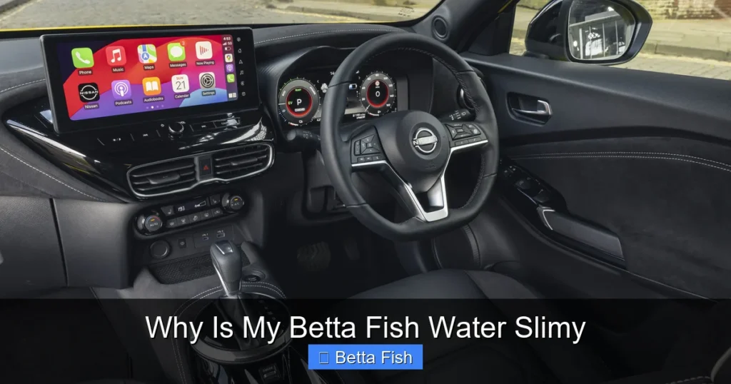 Why Is My Betta Fish Water Slimy