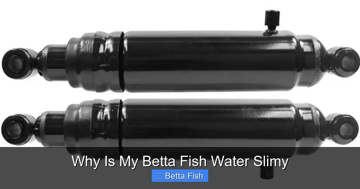 Why Is My Betta Fish Water Slimy