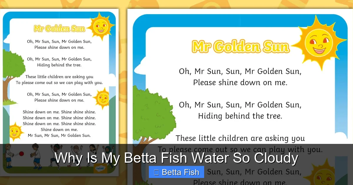 Why Is My Betta Fish Water So Cloudy