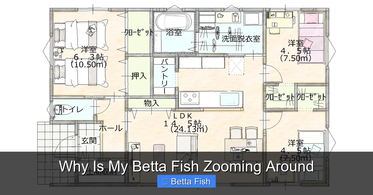 Why Is My Betta Fish Zooming Around