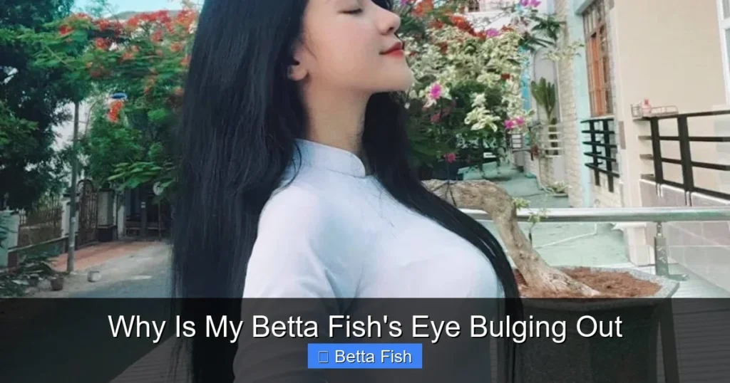 Why Is My Betta Fish's Eye Bulging Out