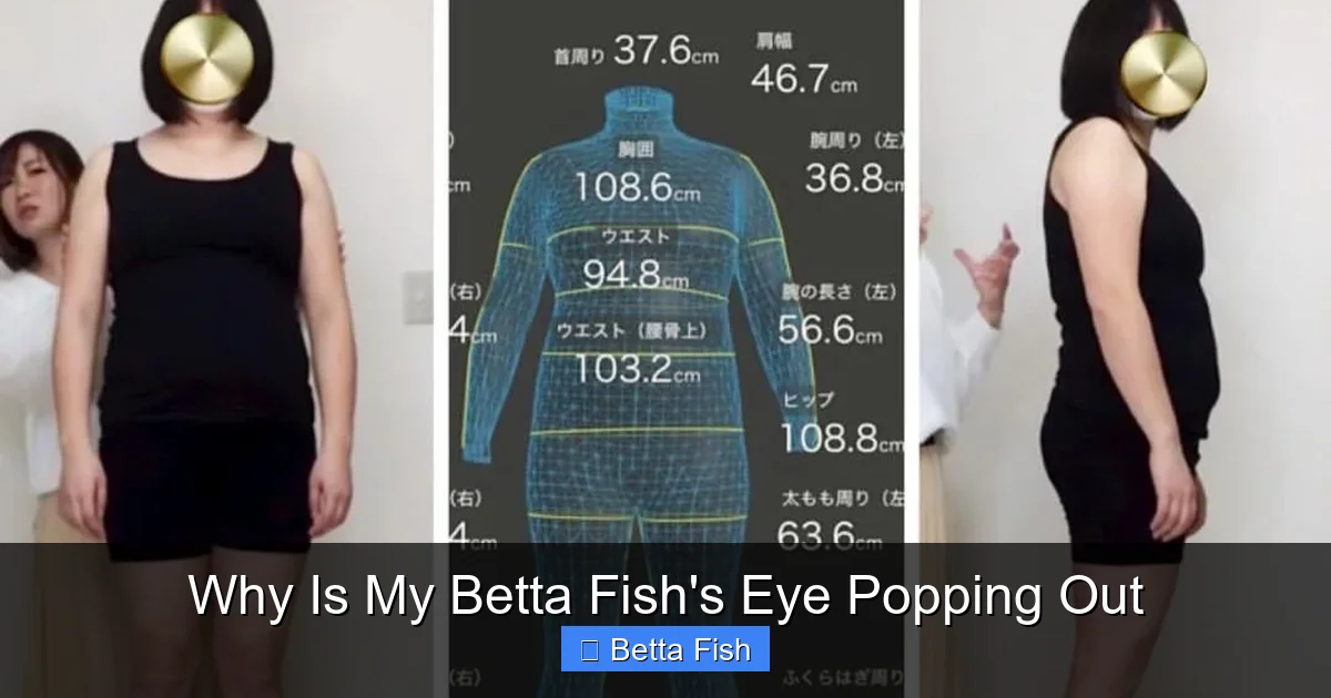 Why Is My Betta Fish's Eye Popping Out