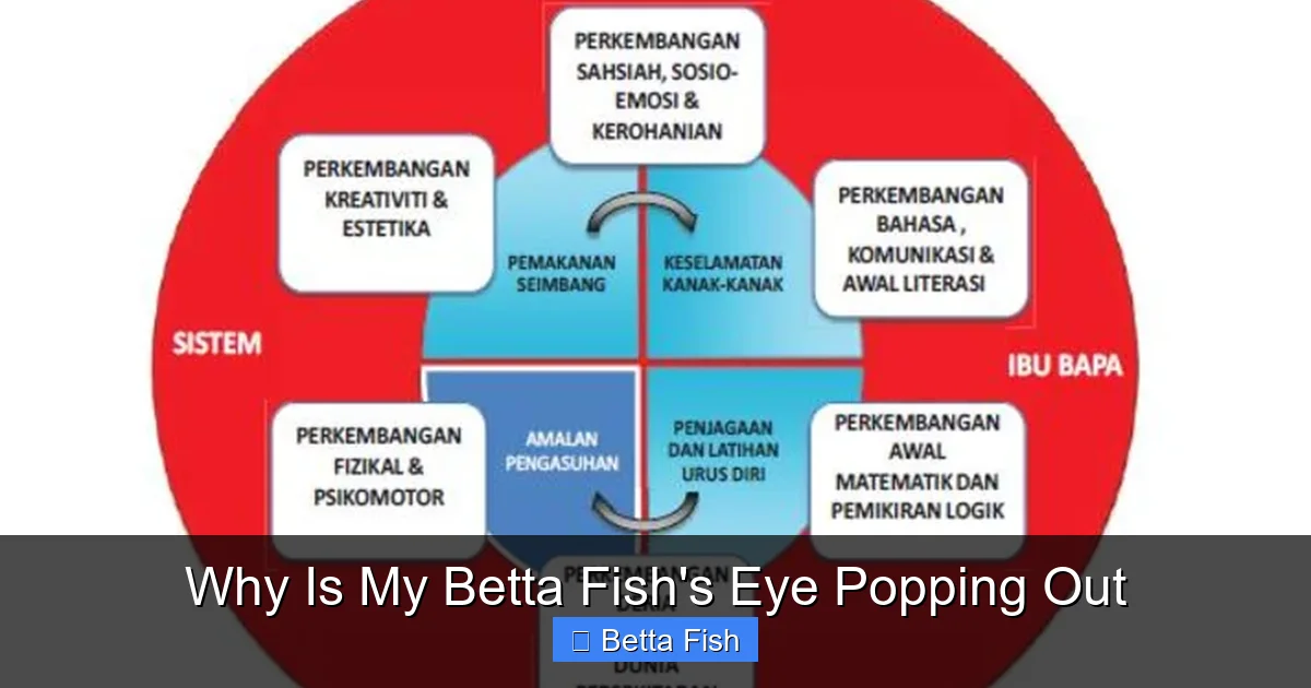 Why Is My Betta Fish's Eye Popping Out