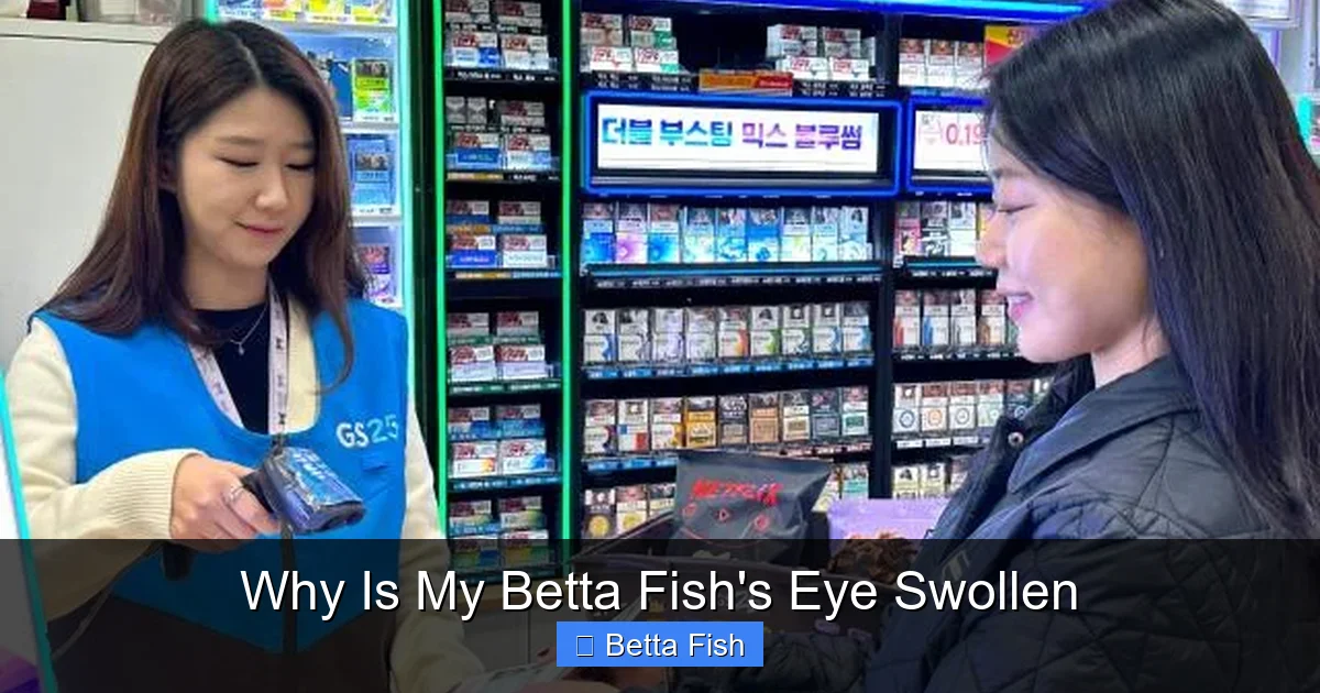 Why Is My Betta Fish's Eye Swollen