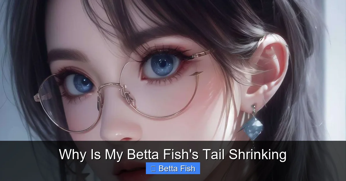 Why Is My Betta Fish's Tail Shrinking