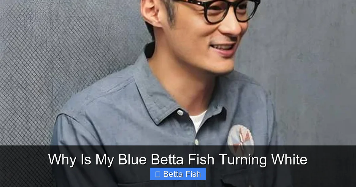 Why Is My Blue Betta Fish Turning White