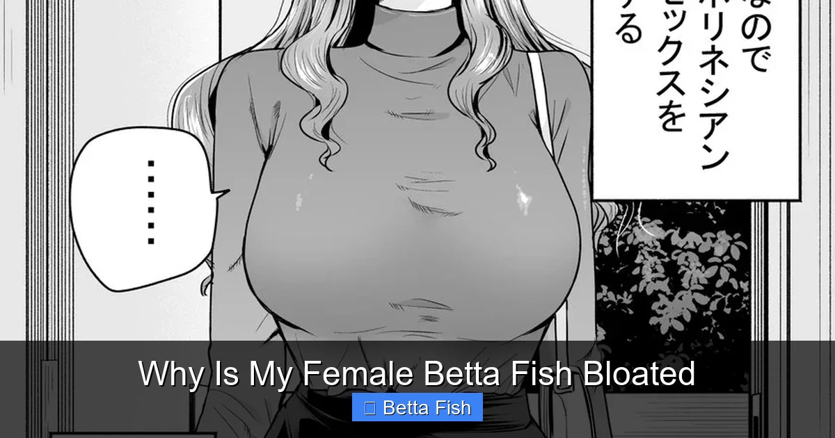 Why Is My Female Betta Fish Bloated