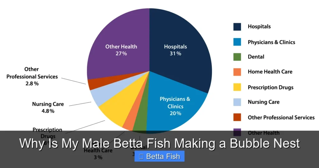 Why Is My Male Betta Fish Making a Bubble Nest
