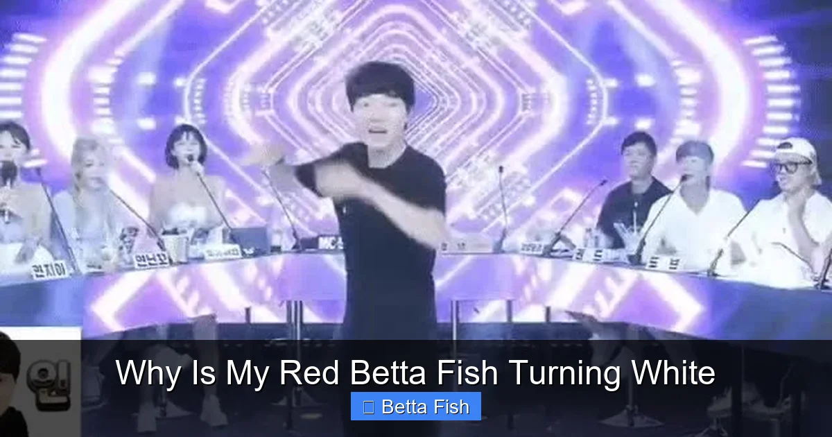 Why Is My Red Betta Fish Turning White