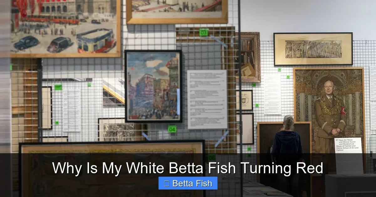 Why Is My White Betta Fish Turning Red