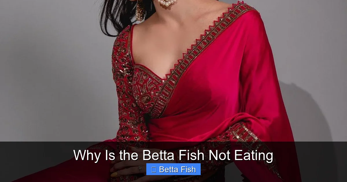 Why Is the Betta Fish Not Eating