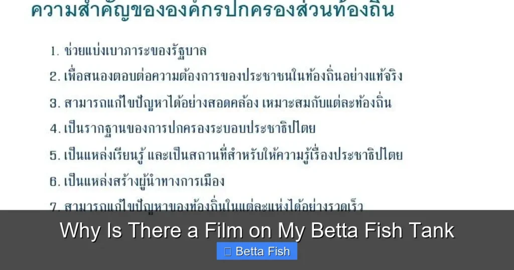 Why Is There a Film on My Betta Fish Tank