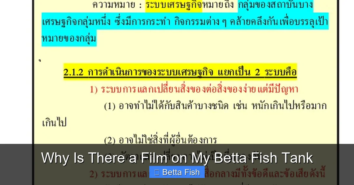 Why Is There a Film on My Betta Fish Tank