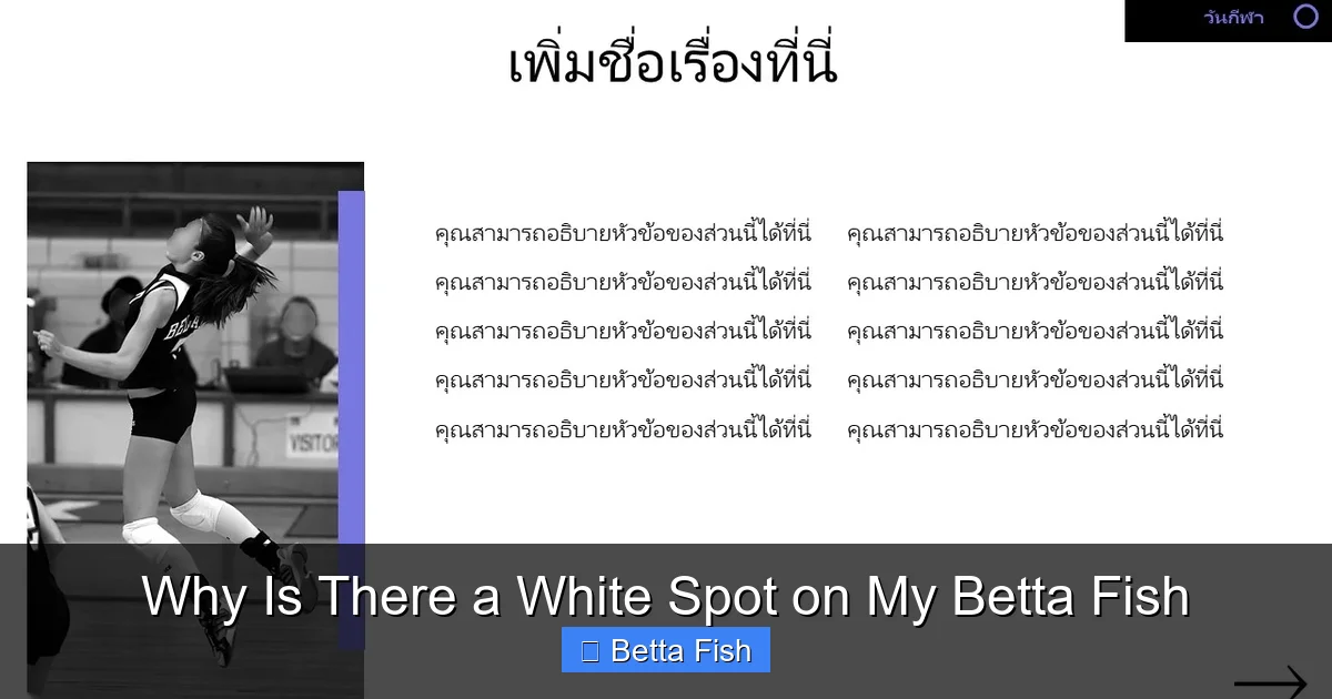 Why Is There a White Spot on My Betta Fish