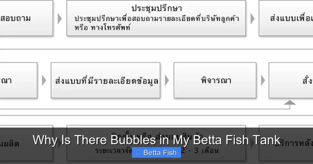 Why Is There Bubbles in My Betta Fish Tank