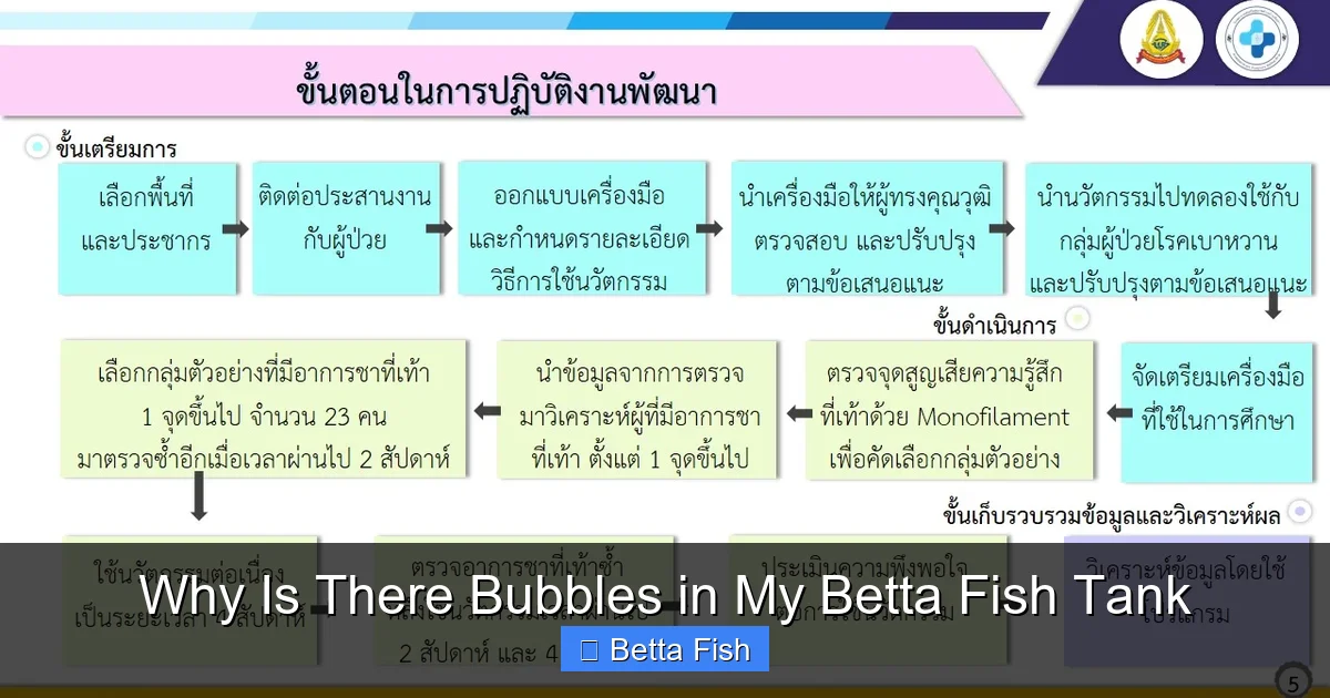 Why Is There Bubbles in My Betta Fish Tank