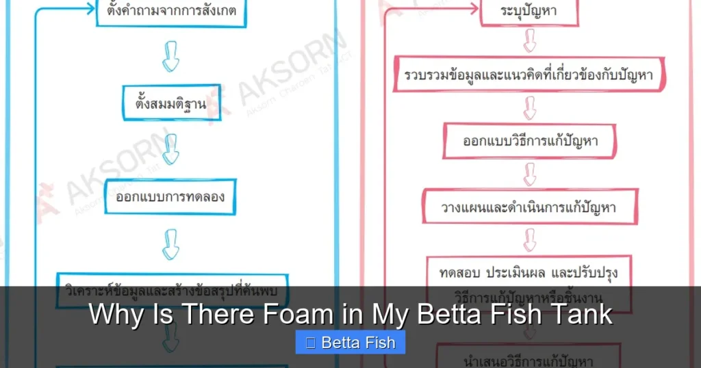 Why Is There Foam in My Betta Fish Tank