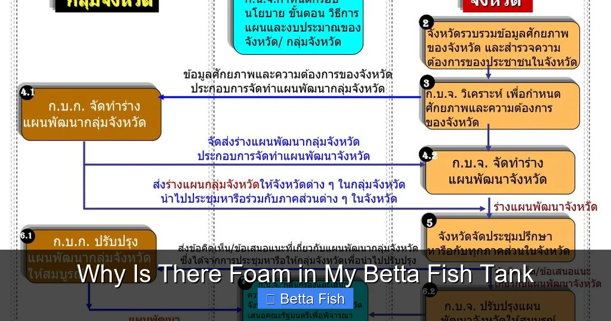Why Is There Foam in My Betta Fish Tank