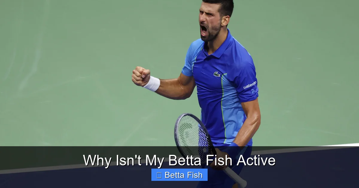Why Isn't My Betta Fish Active