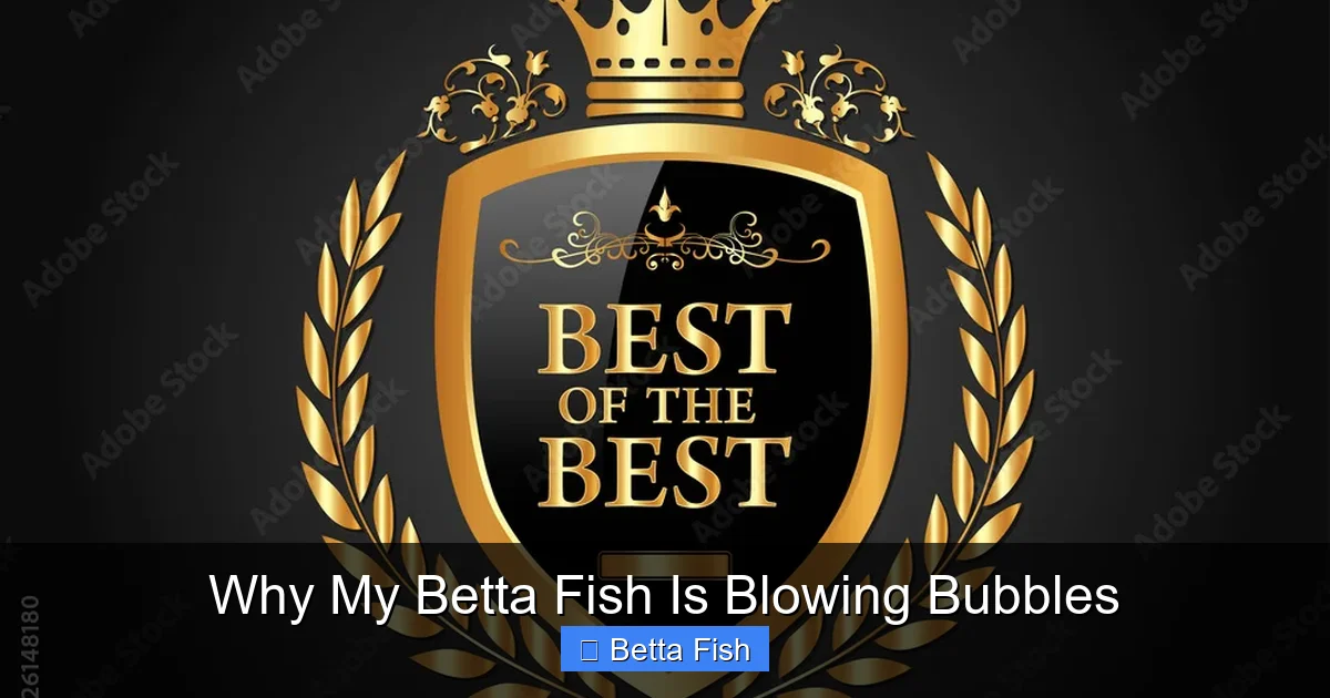 Why My Betta Fish Is Blowing Bubbles