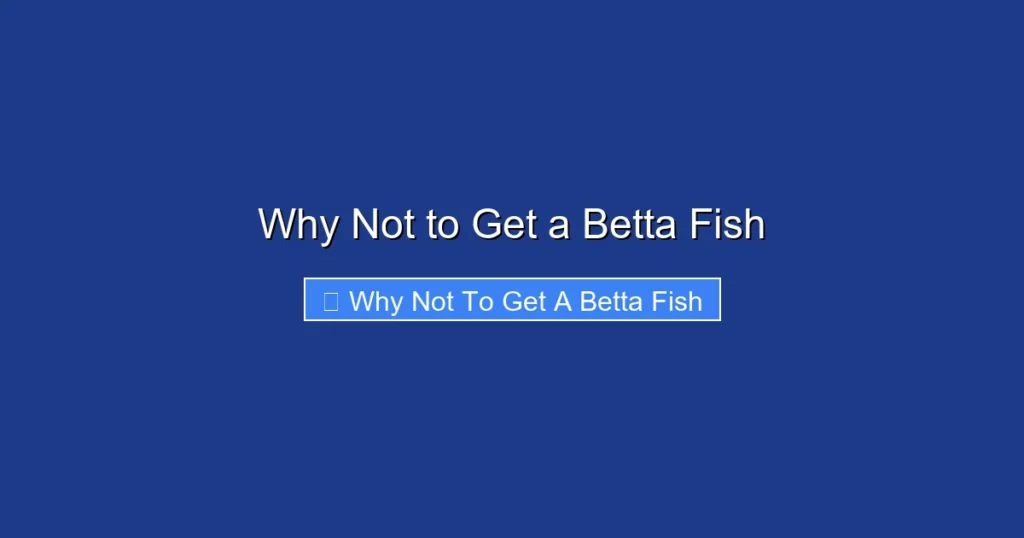 Why Not to Get a Betta Fish