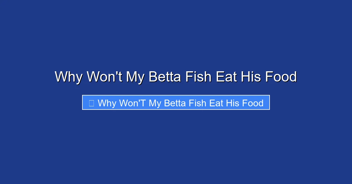 Why Won't My Betta Fish Eat His Food