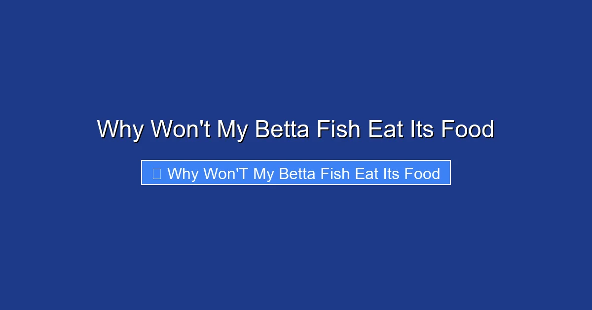Why Won't My Betta Fish Eat Its Food