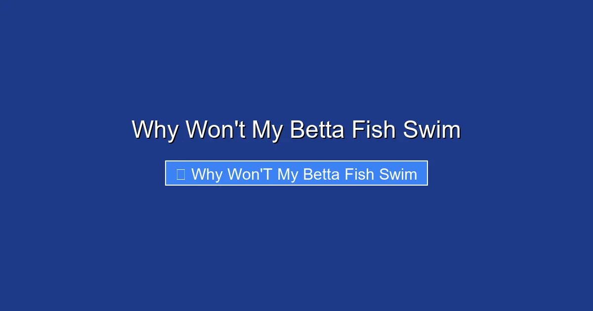 Why Won't My Betta Fish Swim