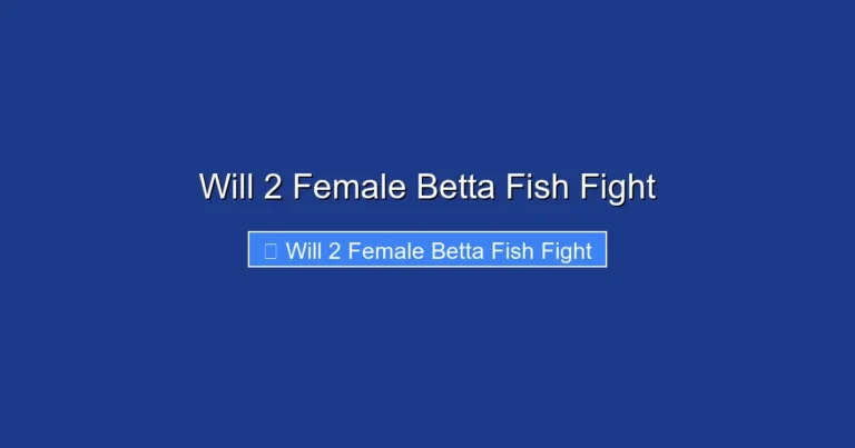 Will 2 Female Betta Fish Fight