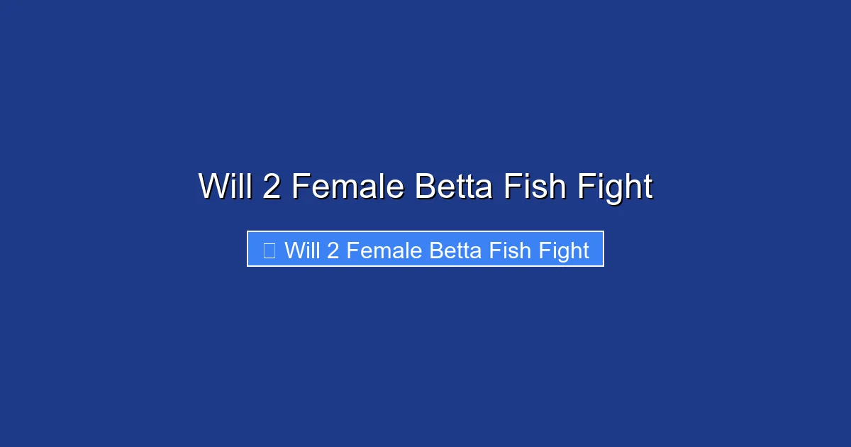 Will 2 Female Betta Fish Fight
