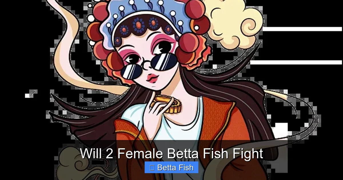 Will 2 Female Betta Fish Fight