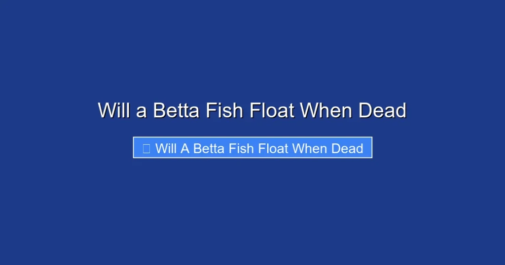 Will a Betta Fish Float When Dead