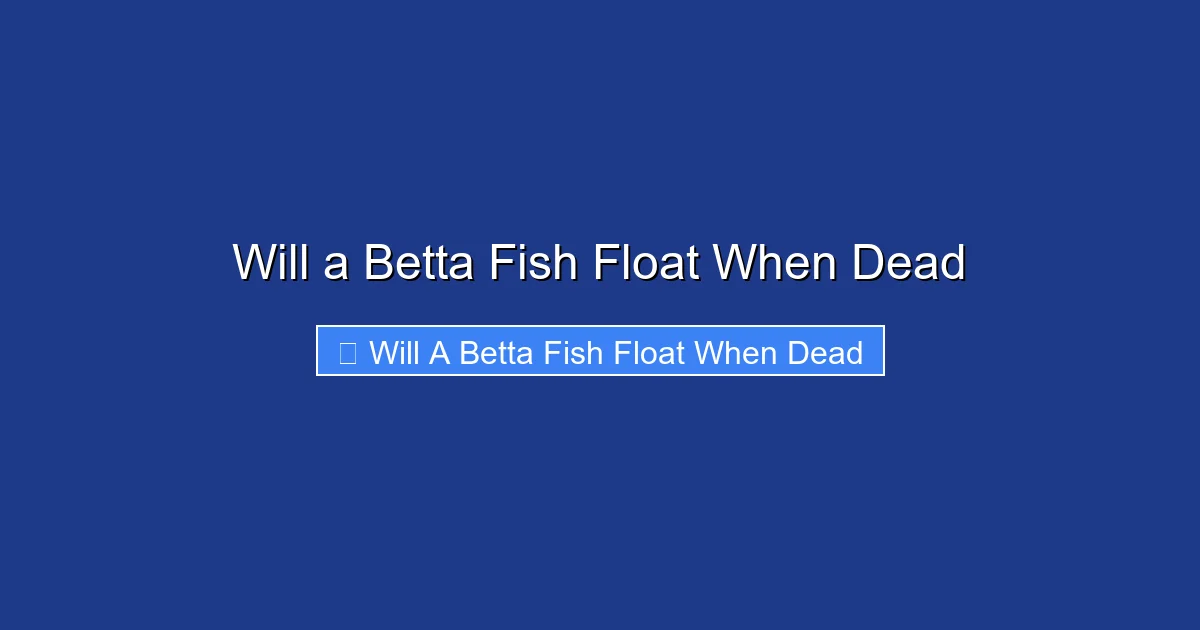 Will a Betta Fish Float When Dead
