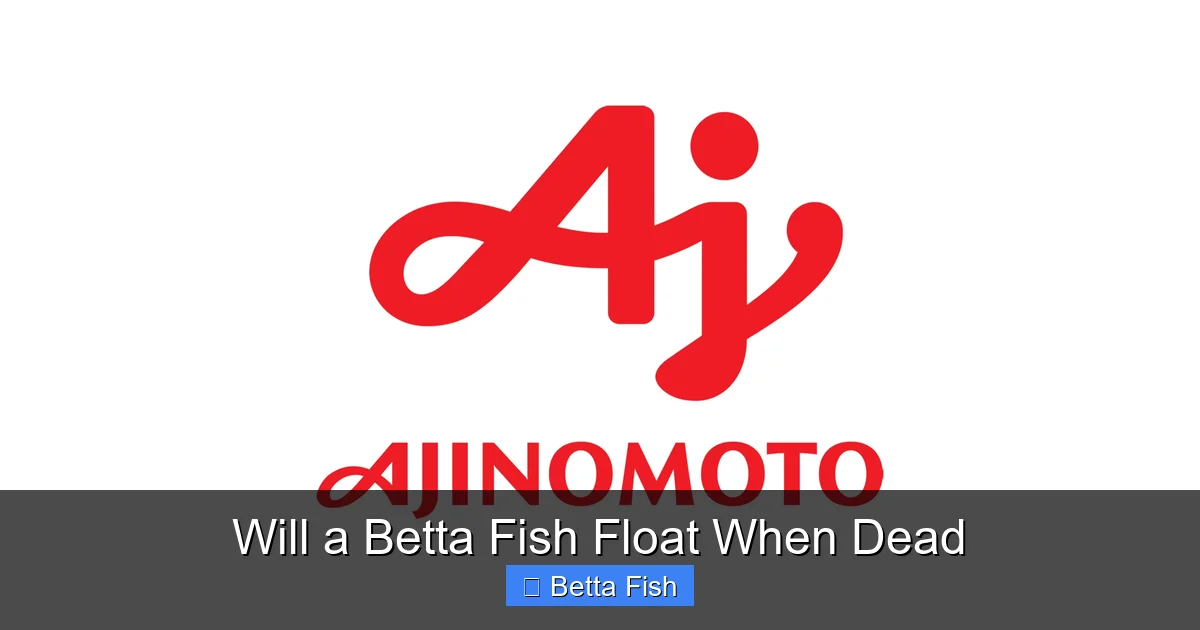 Will a Betta Fish Float When Dead