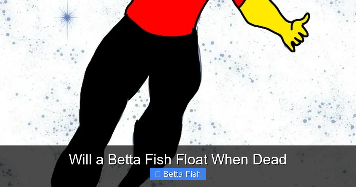 Will a Betta Fish Float When Dead