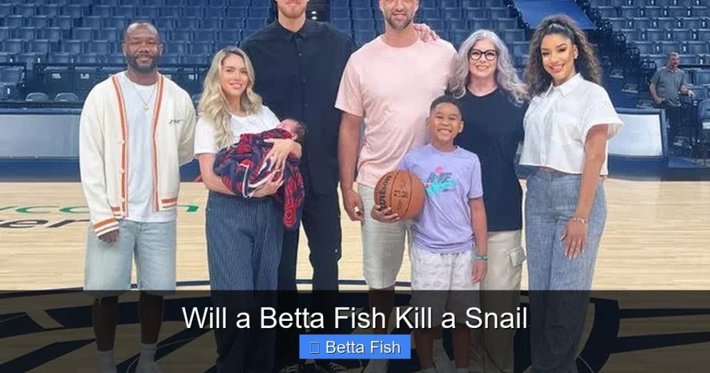 Will a Betta Fish Kill a Snail