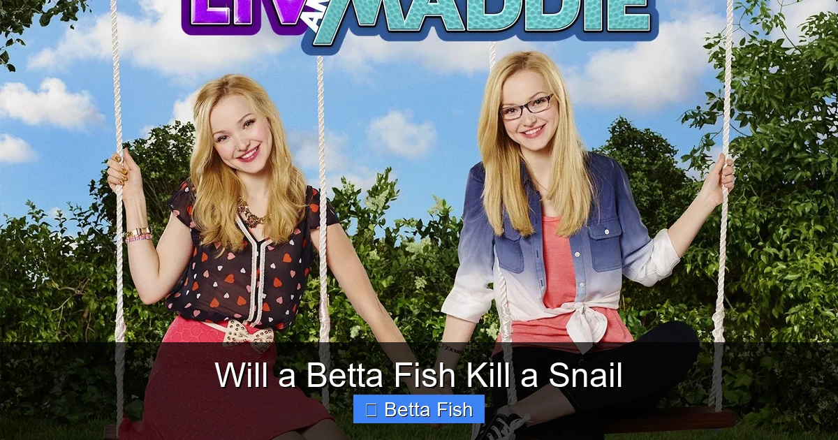 Will a Betta Fish Kill a Snail
