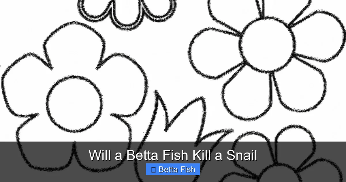 Will a Betta Fish Kill a Snail