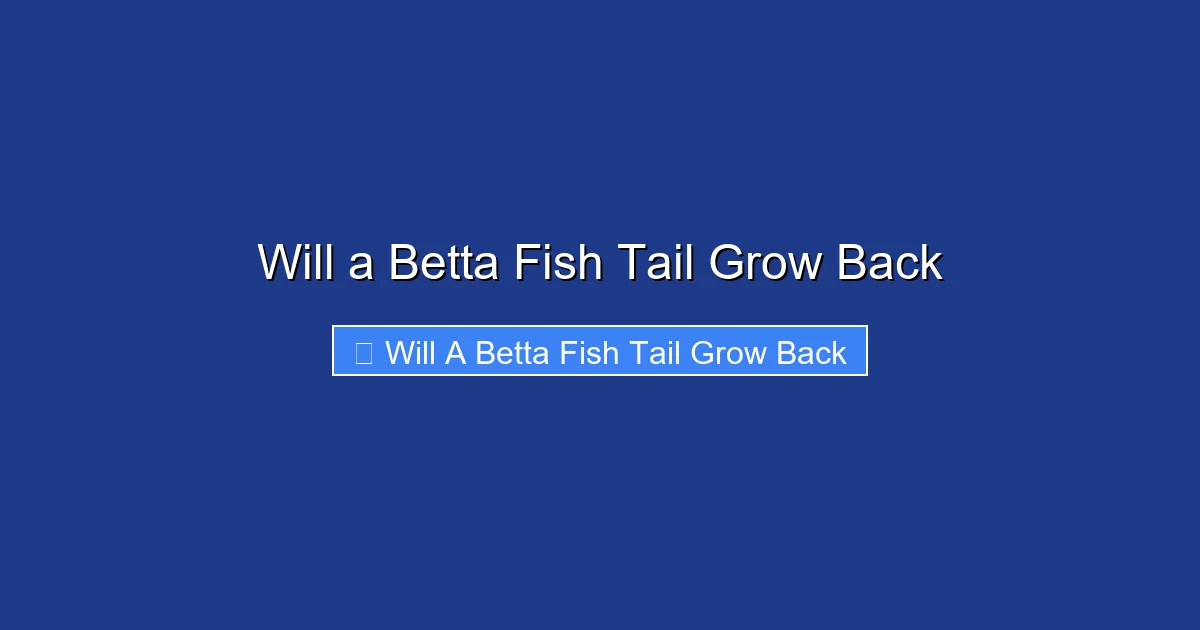 Will a Betta Fish Tail Grow Back